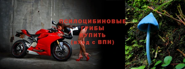 прущие грибы Белоозёрский