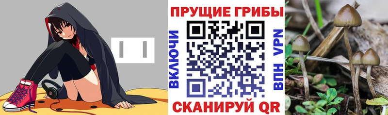 Псилоцибиновые грибы мухоморы  купить закладку  Сердобск 