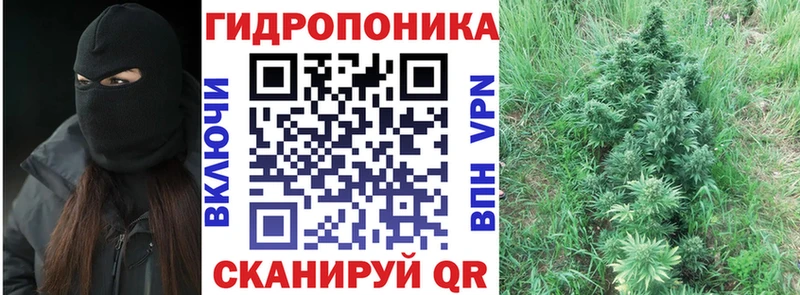 Бошки марихуана план  Сердобск 